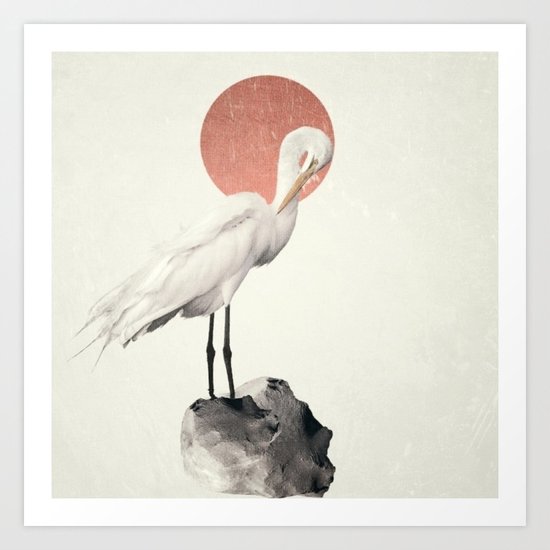 White Wings Art Print