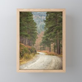 Forest tree path | Glendalough, Wicklow mountains, Ireland travel photography | Landscape art print Framed Mini Art Print