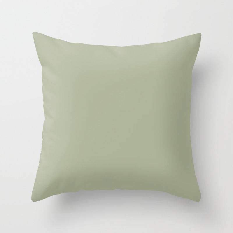 Light Olive Soft Herbs Pastel Sage Green Solid Color Parable To Behr Cottage Hill Hdc Ct 28 Throw Pillow By Simplysolids Society6 Download all photos and use them even for commercial projects. light olive soft herbs pastel sage green solid color parable to behr cottage hill hdc ct 28 throw pillow by simplysolids