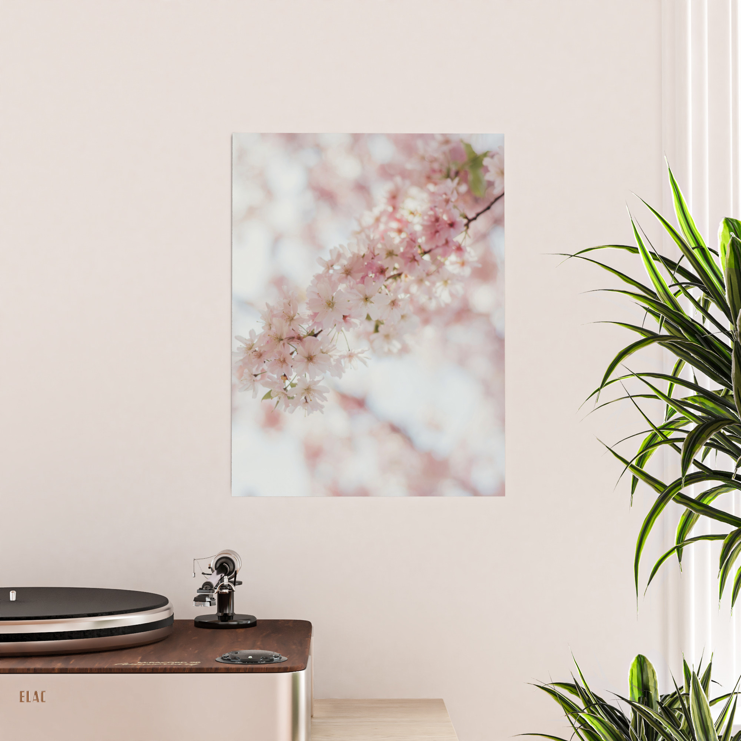 Beautiful Pink Cherry Blossoms After Winter Poster By Ainiraa Society6