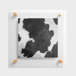 Black and White Cow Skin Print Floating Acrylic Print