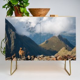 Little goats’ family in French Alps Credenza