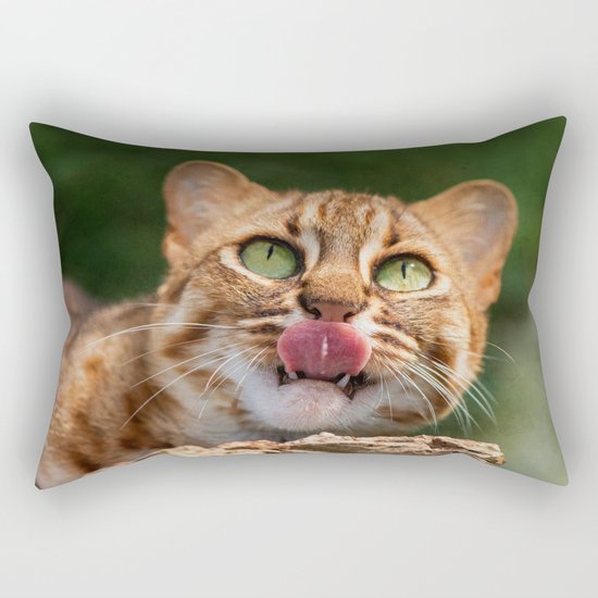 RUSTY SPOTTED CAT LICK Rectangular Pillow