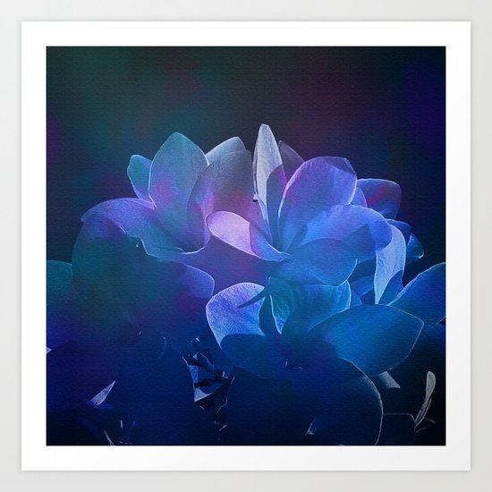 Dream Flower 7 Art Print