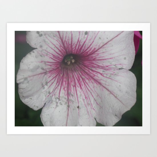 Flower Art Print