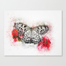 Butterfly  Watercolor art Canvas Print