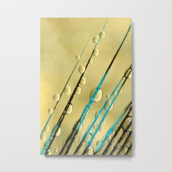 Feather Drops with Gold Metal Print