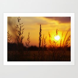 Summer Magic nature in sunrise Art Print | Grass, Sky, Interiors, Homedecors, Pattern, Digital, Bachground, Hdr, Landscape, Nature 