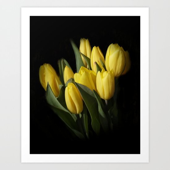 the elegance of spring -3- Art Print