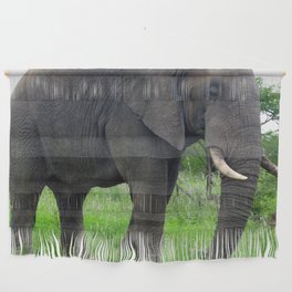 South Africa Photography - An Elephant On The Green Grassy Field Wall Hanging
