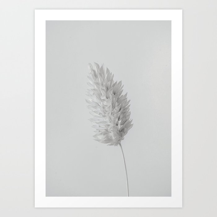 Minimal Black & White Dry Flower Art Print
