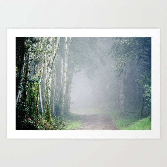 Foggy Trails Art Print