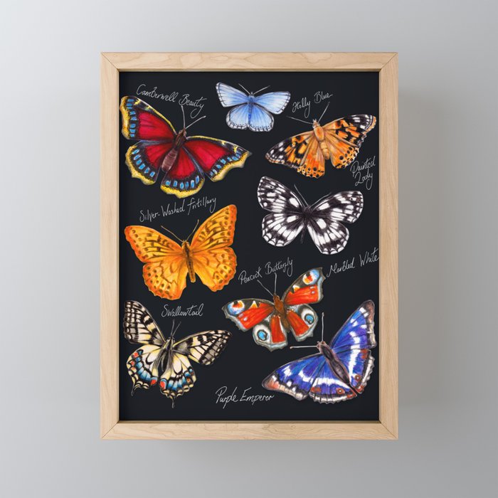 Butterflies On Black Framed Mini Art Print
