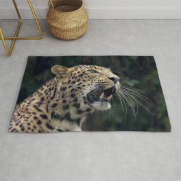 Panther Rug | Animal, Amandineherrero, Rtn, Color, Other, Returntonature, Panther, Photo, Digital, Mammal 