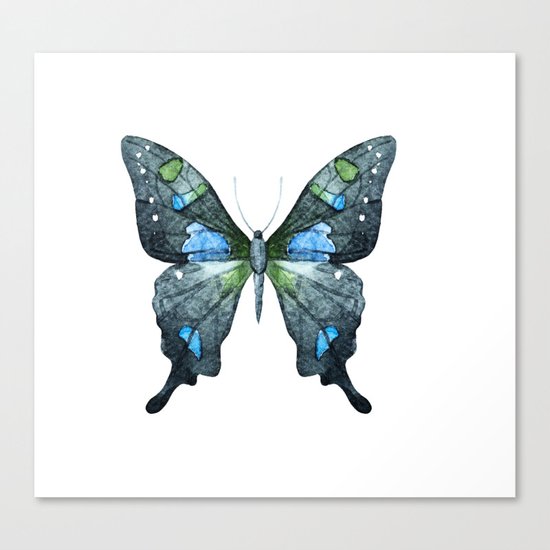 Butterfly 02 Canvas Print