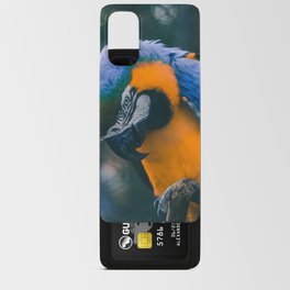 Brazil Photography - Blue And Yellow Macaw Parrot Android Card Case