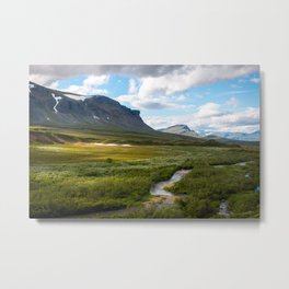 A lucky minute of sunshine in Swedish North Metal Print