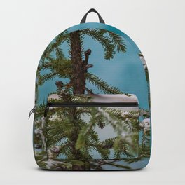 Fresh Backpack