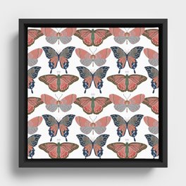 Butterfly Framed Canvas