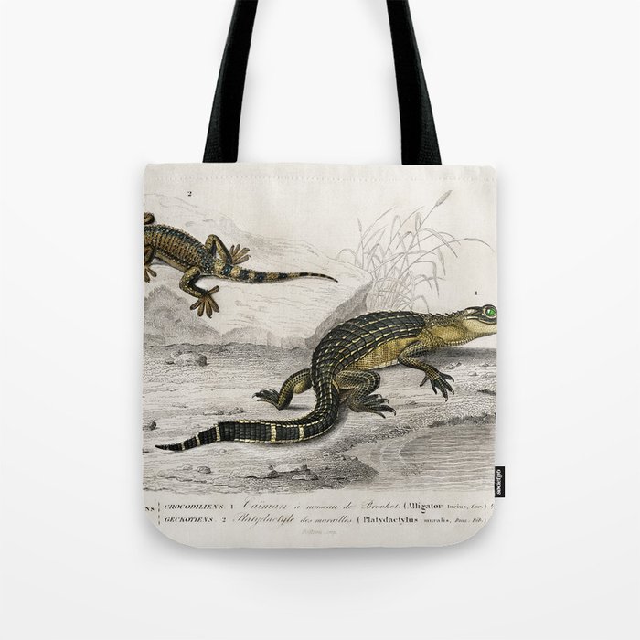 Alligator & Lilford'swall lizard  Tote Bag