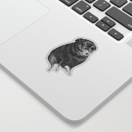 Sweet Black Pug Sticker