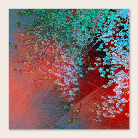 fantasy## Canvas Print