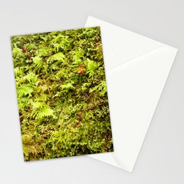 Forest Floor Stationery Card