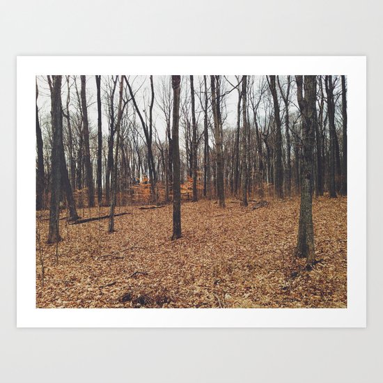 Indiana Forest Art Print