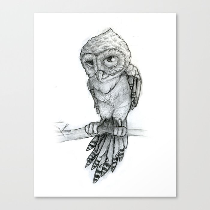owl sketched Canvas Print