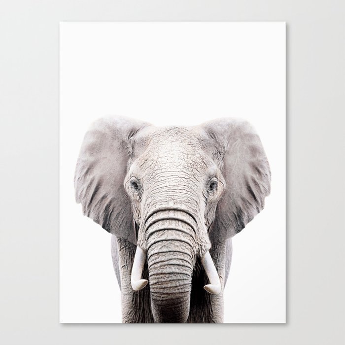ELEPHANT Canvas Print
