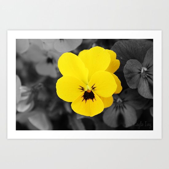 Yellow Flower Art Print