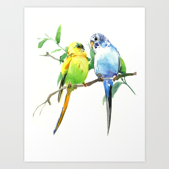 Budgies, Animal art, love, two birds bird artwork, bird pet Art