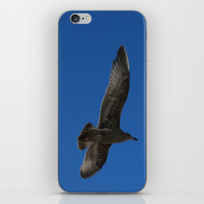 Flying Hawk iPhone Skin