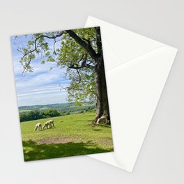 Meon Valley Lambs Stationery Card