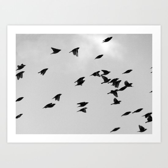 Birds Of A Feather Art Print