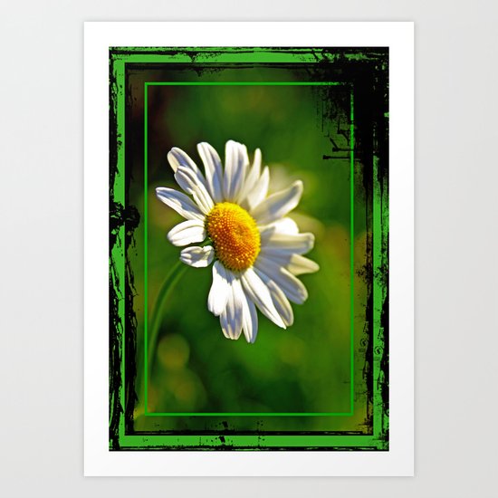daisy Art Print