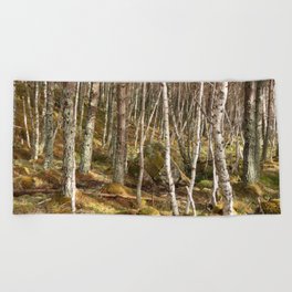 Birch and Pine Trees Gathering Place in the Scottish Highlands  Beach Towel