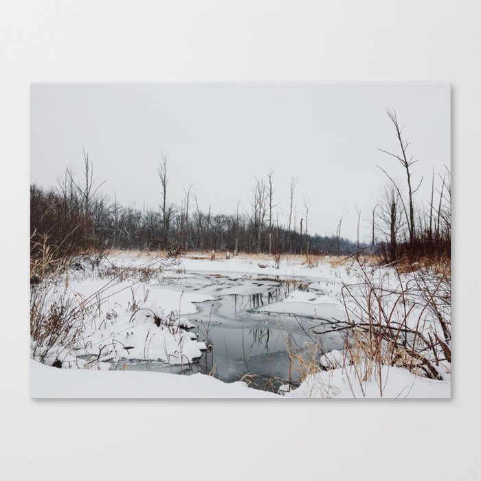 Frost Sight Canvas Print