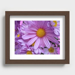 Cheerful Chrysanthemums Recessed Framed Print