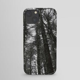 Glancing Treetops iPhone Case