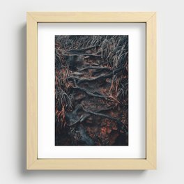 Irish Forest in South Kerry, Ireland, Landscape Photography Art Print Recessed Framed Print