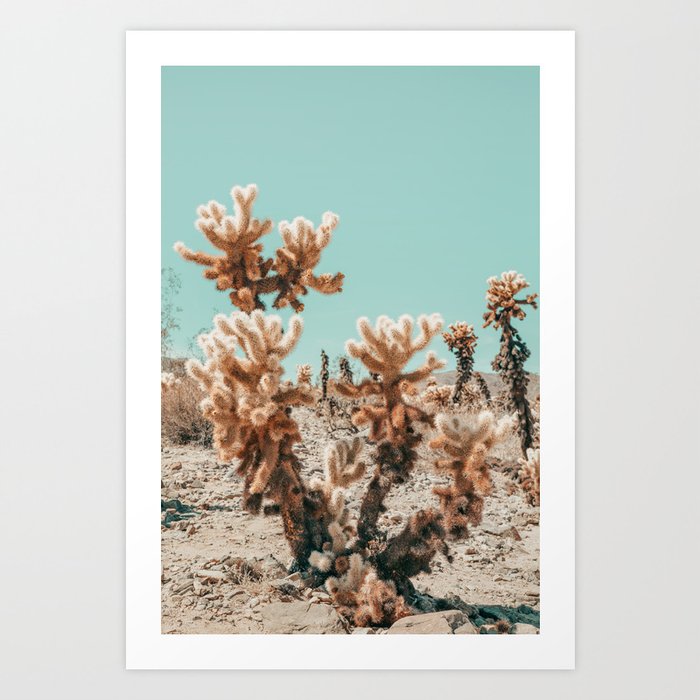 Cholla Cactus - Joshua Tree Desert Landscape, Nature Photography Art Print