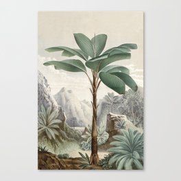Tropical Landscape With Palm Tree Canvas Print