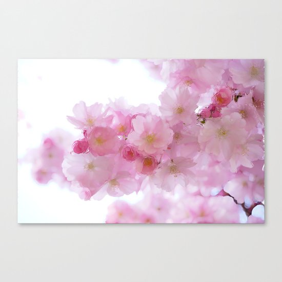 Pink Canvas Print