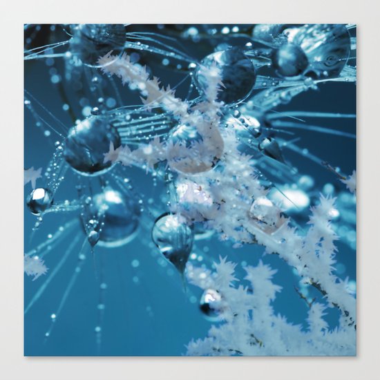 Ice Flower abstract Canvas Print