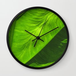 Tropical Green Wall Clock | Nature, Abstract, Photo 