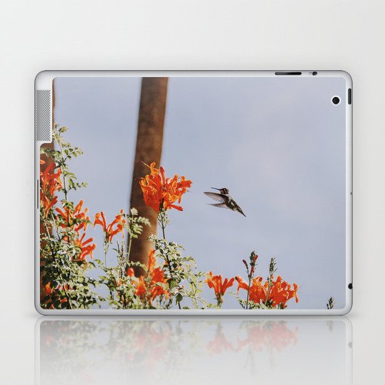 Hummingbird / Palm Springs Laptop & iPad Skin