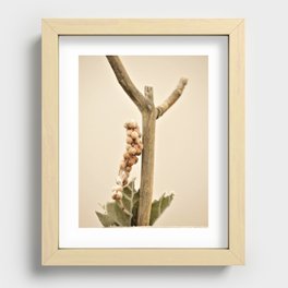 Frosted berries Recessed Framed Print