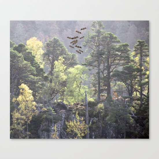 A Dream Pang Canvas Print