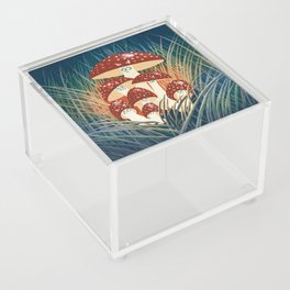 meowshrooms Acrylic Box